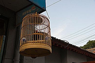 体素沙盒《方块方舟》2.5折史低特卖，渡渡鸟限时进化成异种巨龙